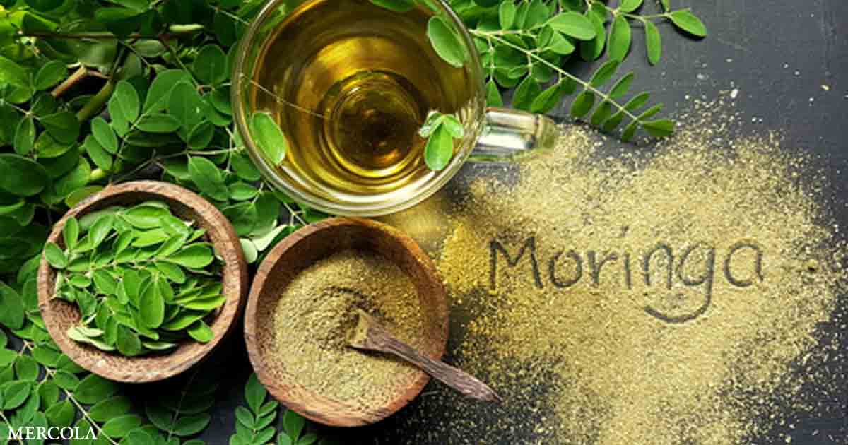 You are currently viewing Benefits of Moringa Compared to Broccoli
