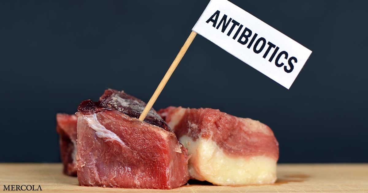 You are currently viewing Think the Antibiotics in Your Food Are Decreasing? Think Again