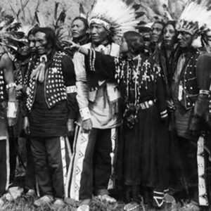 Read more about the article The Link Between Nutrition and Native Immunity