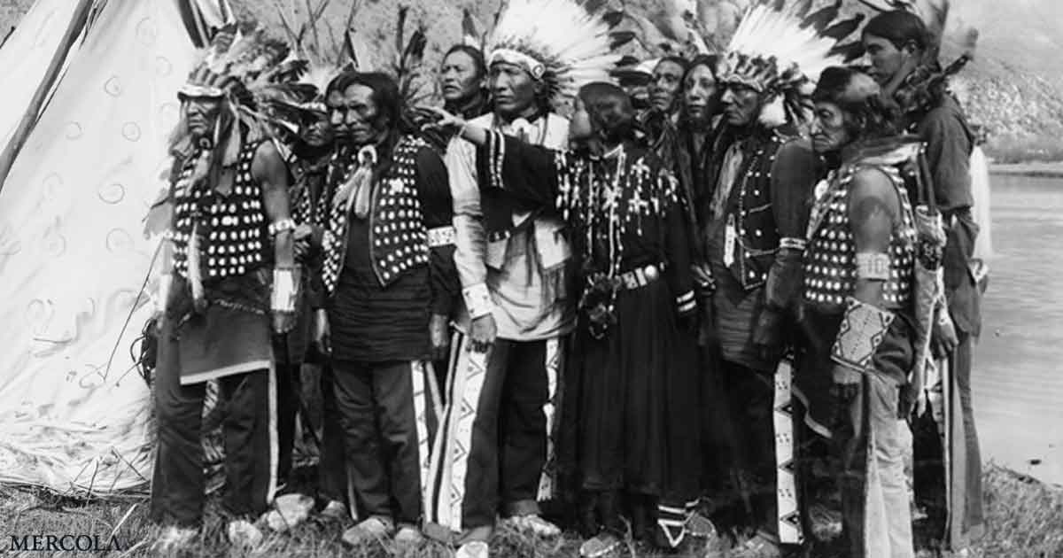 You are currently viewing The Link Between Nutrition and Native Immunity