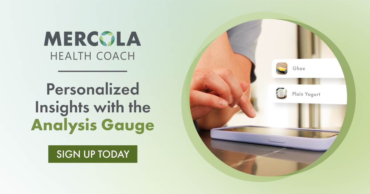 Read more about the article How Does the Analysis Gauge Work?