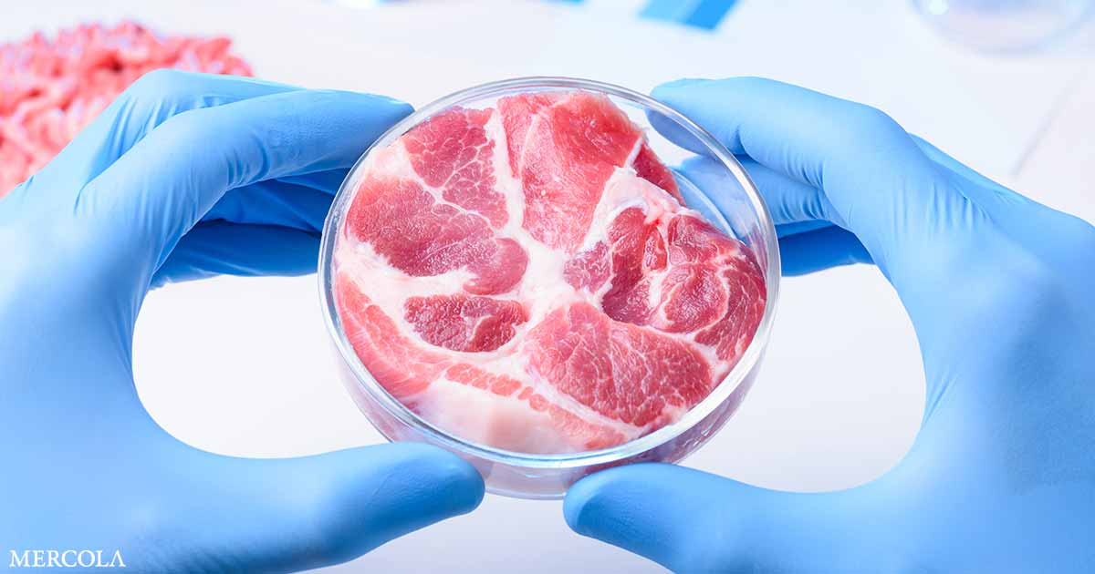 Read more about the article Federal Judge Upholds Florida Ban on Lab-Grown Meat