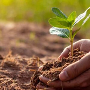 Read more about the article Gardening Transforms Your Mental Health and Quality of Life